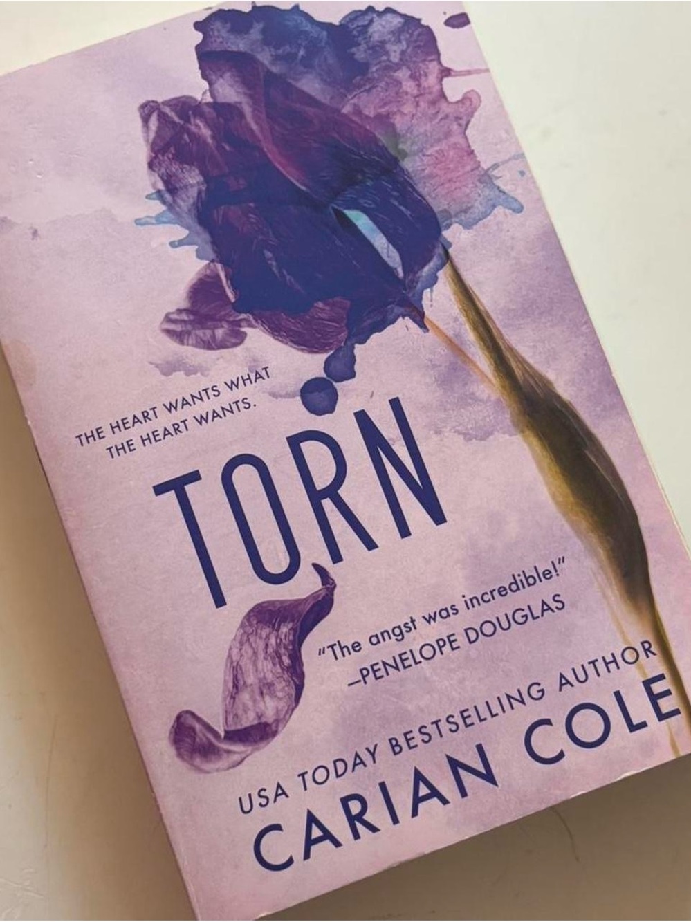 Torn by - Carian Cole